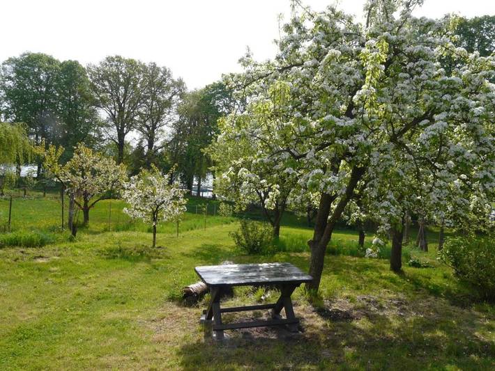 Ferienhaus für 4 Personen, mit Terrasse und Seeblick sowie Ausblick und Garten an der Müritz - 4