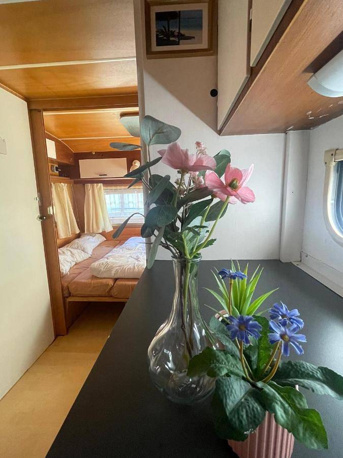 Bungalow für 4 Personen, mit Terrasse im Schwarzwald - 3