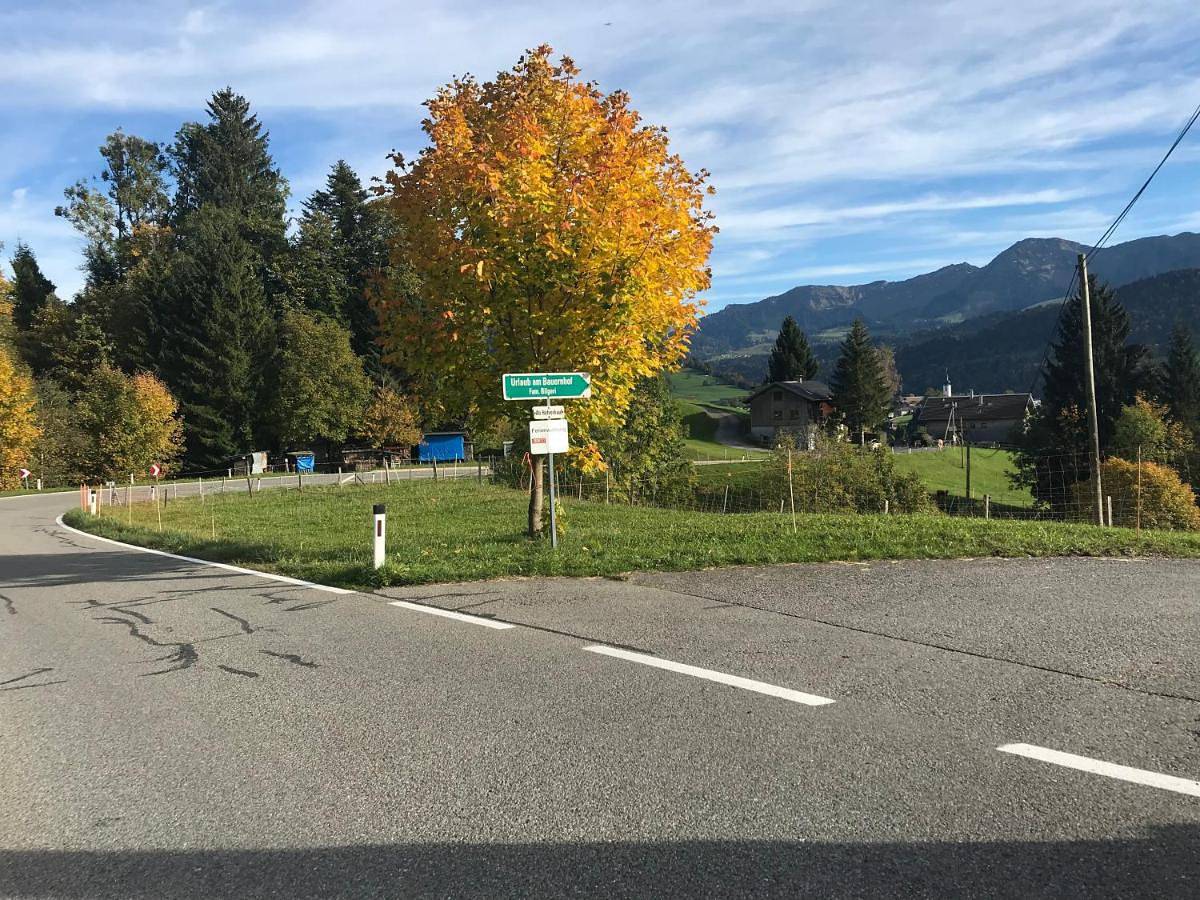 Ganze Wohnung, Bauernhof Bilgeri in Hittisau, Bodensee-Vorarlberg