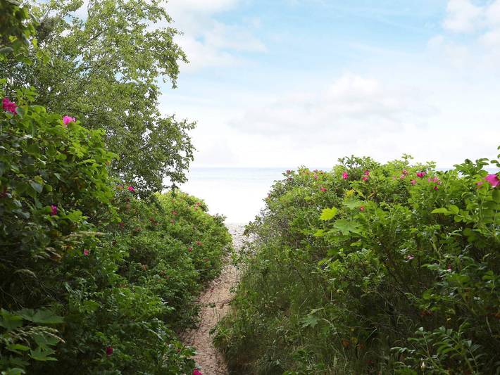 Ferienhaus für 6 Personen, mit Terrasse, kinderfreundlich an der Kattegat Küste - 4