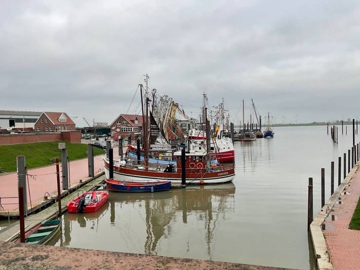 Ferienwohnung für 2 Personen, mit Balkon in Ditzum - 4