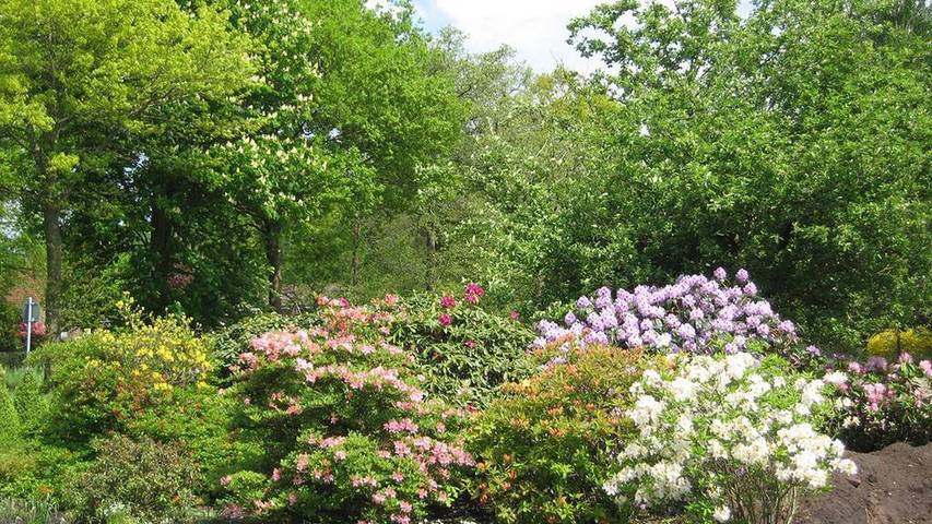 Ferienwohnung für 4 Personen, mit Balkon in Ammerland - 3