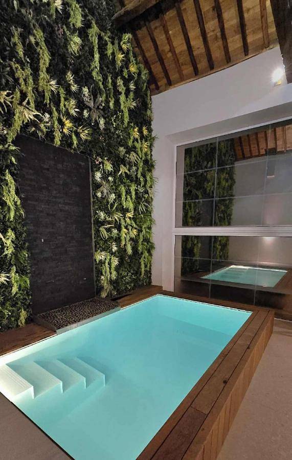 Chambre d’hôte pour 2 personnes, avec piscine et terrasse ainsi que sauna et jacuzzi à Thuin - 2