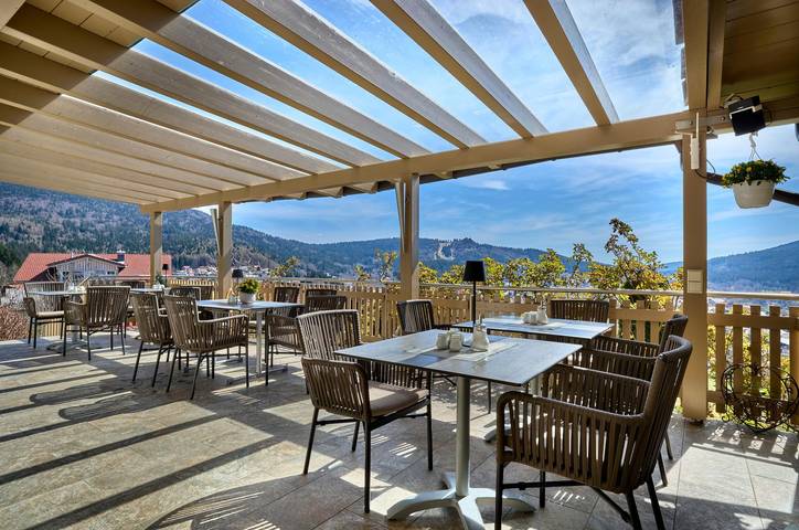Pension für 3 Personen, mit Balkon und Balkon/Terrasse sowie Terrasse und Garten in Bodenmais