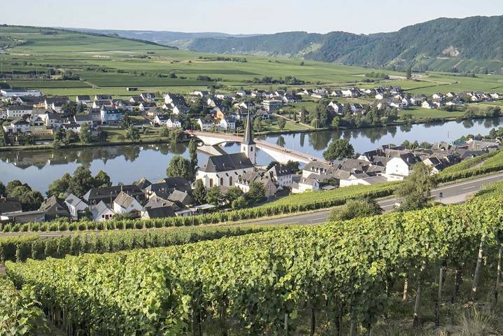 Ferienwohnung für 4 Personen in Piesport - 2