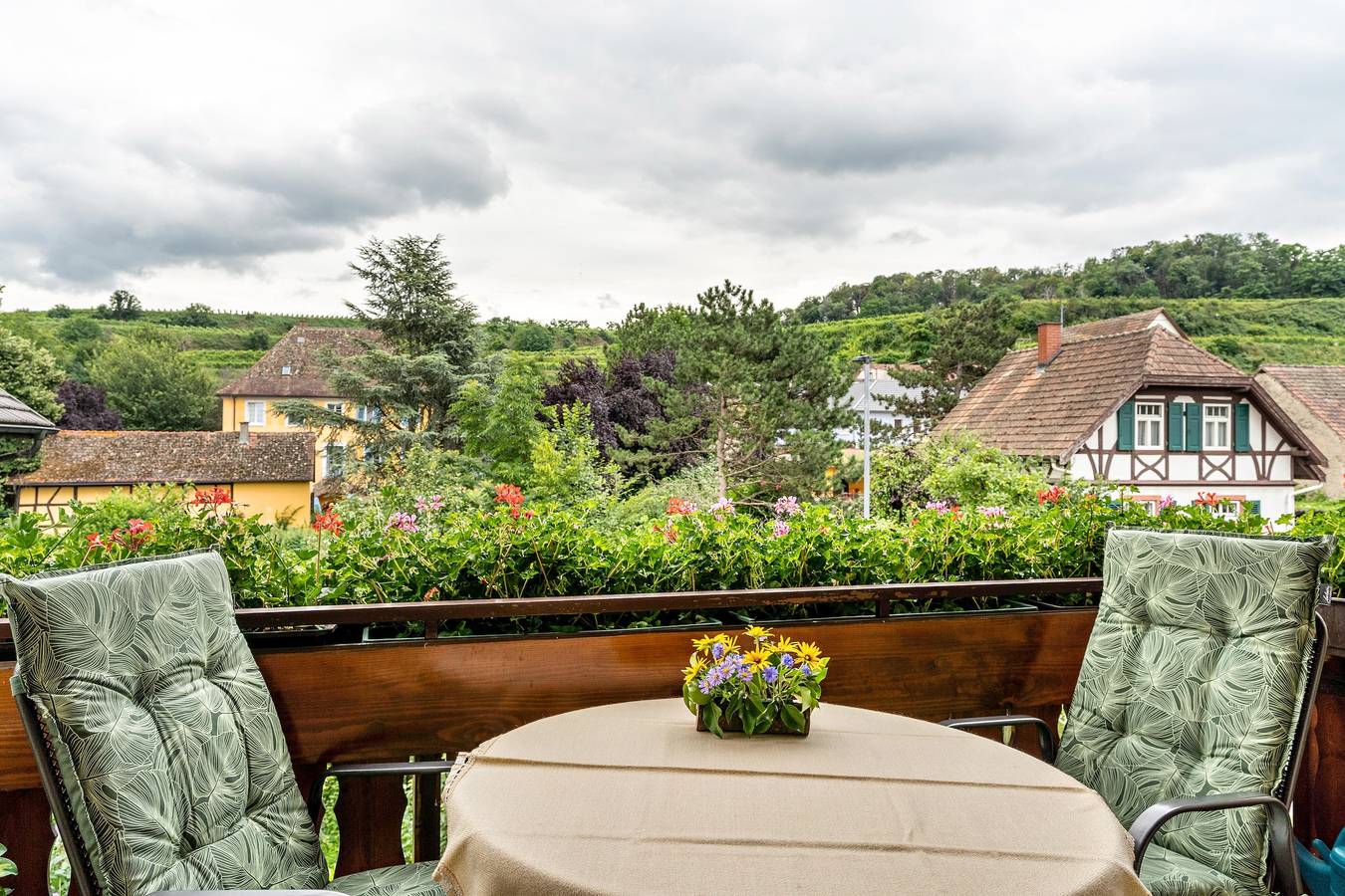 Ganze Wohnung, Ferienwohnung "Schneider" mit Bergblick, Gemeinschaftsgarten und Wlan in Sasbach am Kaiserstuhl, Kaiserstuhl