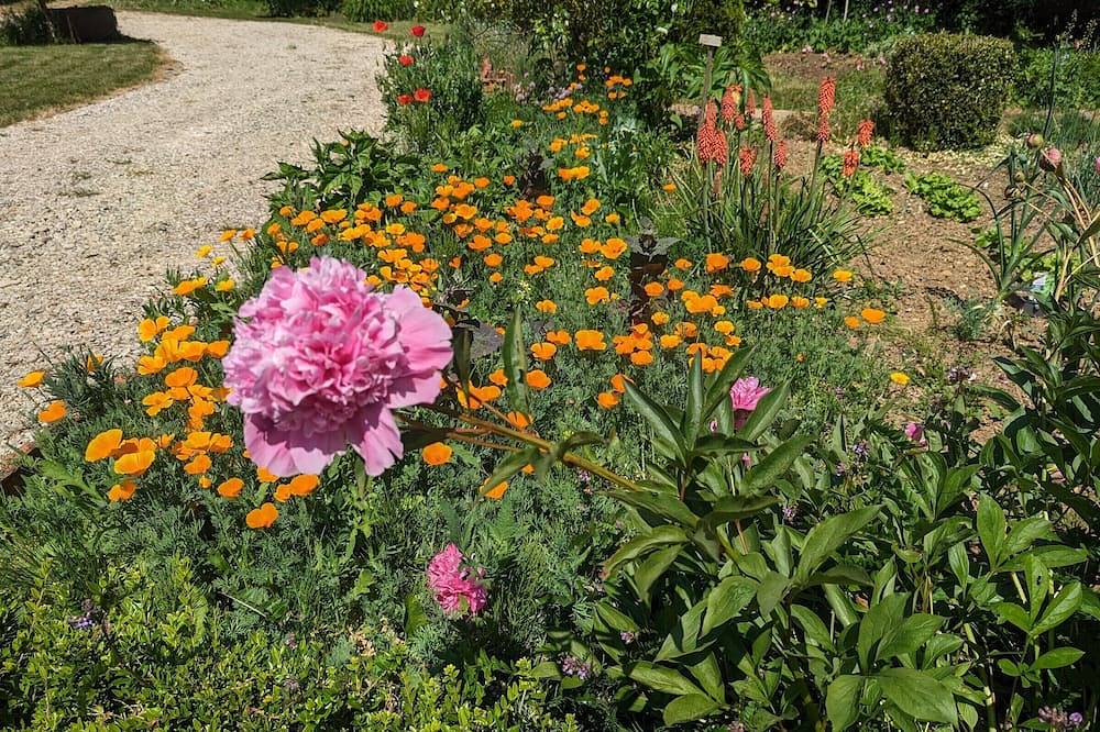 Charming 2-Bed Gîte with Pool on 3-Hectare Farm with Pets in Haute-Marne