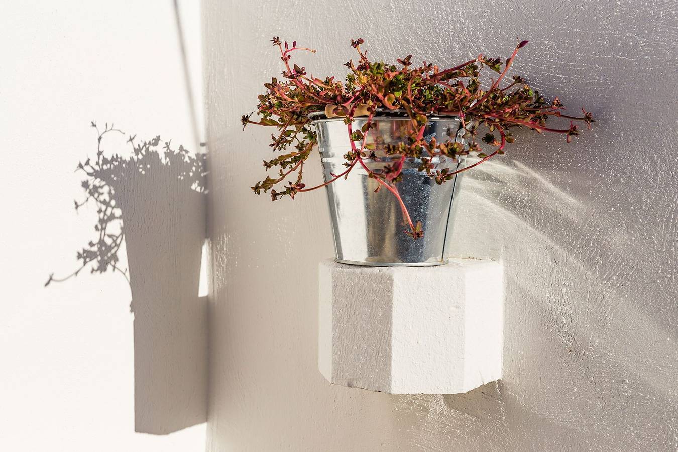 Villa Salentina in Cutrofiano, Province de Lecce