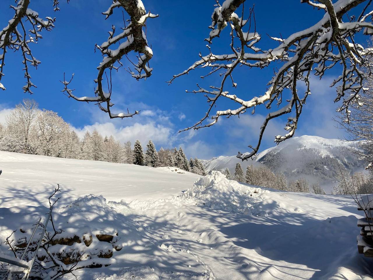 Fw Aussicht Fam Sigl - Greim (Zusatzzimmer) in St. Peter am Kammersberg, Westliche Obersteiermark