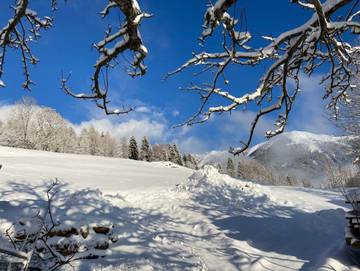 Zimmer für 2 Personen in St. Peter am Kammersberg, Steiermark, Bild 1