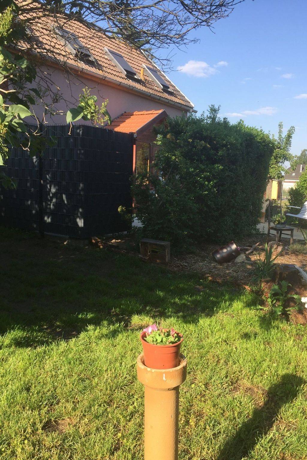 Ganze Wohnung, Geiserich in Blankenburg, Harzvorland
