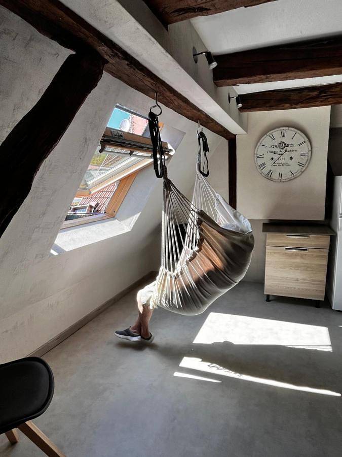 Gîte pour 9 personnes, avec jardin à Lembach - 2