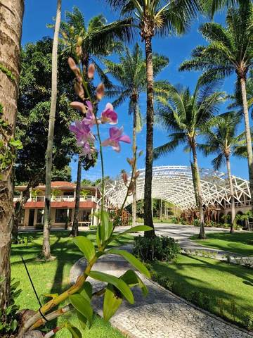Hôtel pour 6 personnes, avec jardin et vue dans Ilha de Boipeba