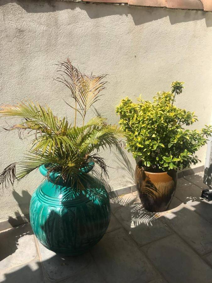 Chambre d’hôte pour 2 personnes, avec terrasse et jardin à Marseille - 2
