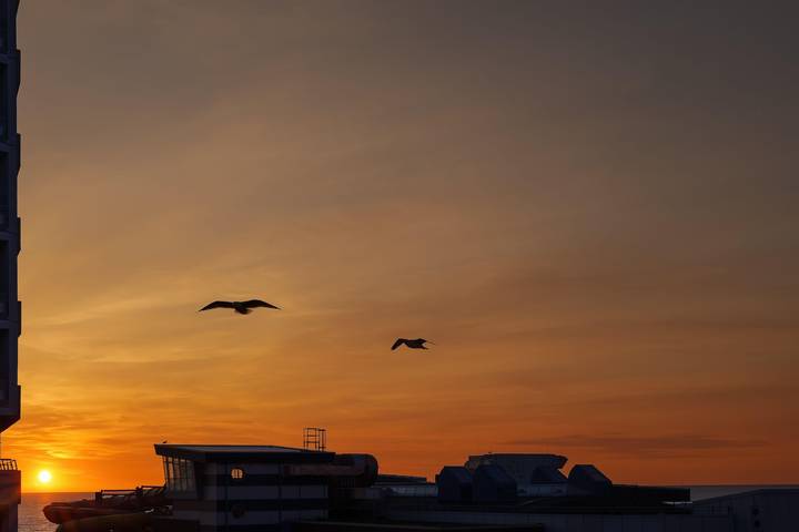 Studio für 2 Personen, mit Balkon in Westerland - 4