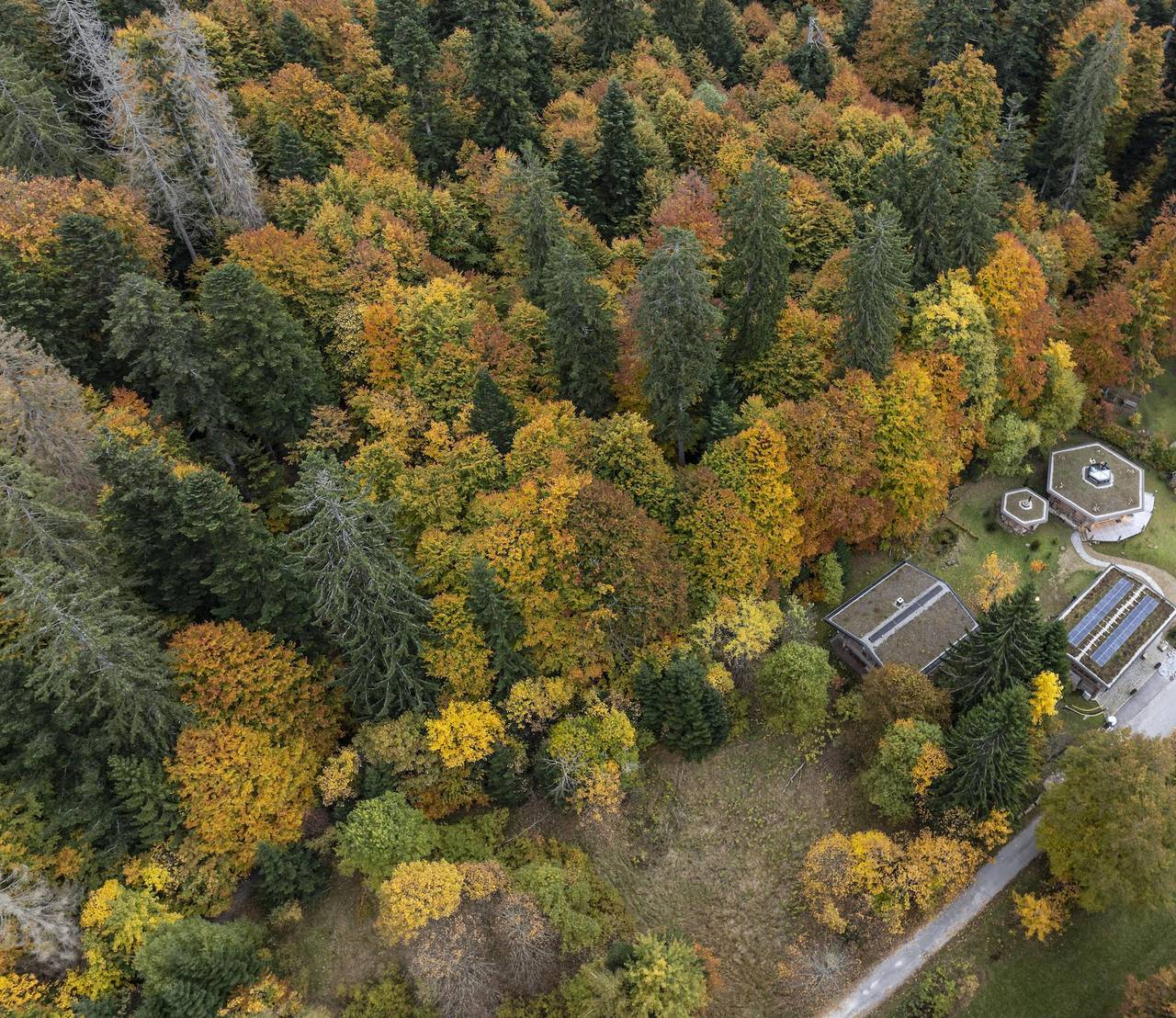Waldhauslodge - Chalet in Lindberg, Šumava Mountains