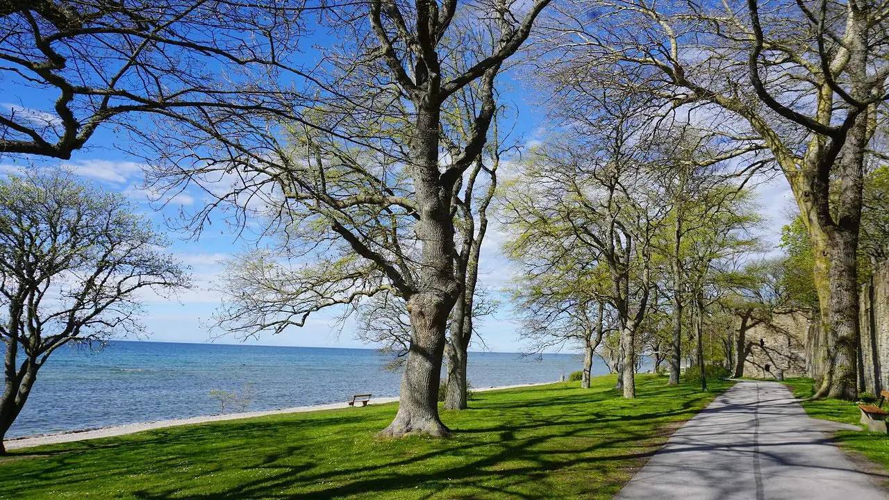 Ferienhaus für 3 Personen (35 m²) in Visby in Visby, Gotland