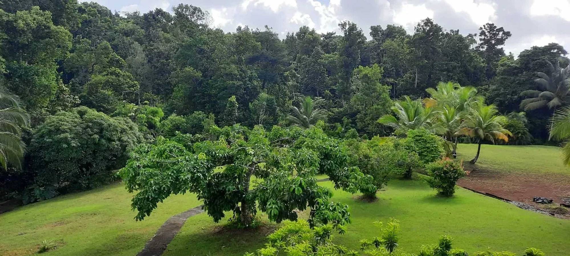 Entire apartment, Modern Apartment in Goyave with Garden and Terrace in Goyave, Guadeloupe (Caribbean)