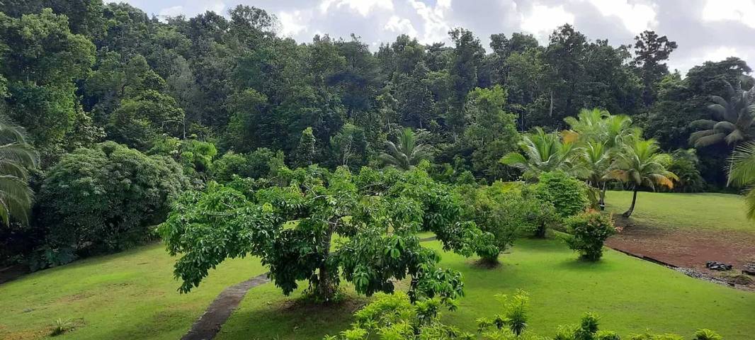 Gîte pour 4 personnes, avec jardin et balcon à Goyave (Guadeloupe) - 2