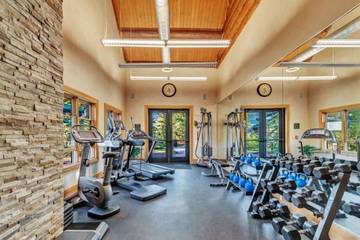 Log Cabin for 8 Guests in Mountain Village, Telluride Ski Resort, Picture 1