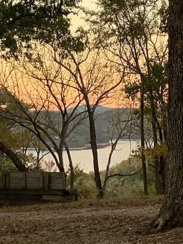 Cottage for 4 Guests in Ozark Mountains, Beaver Lake, Picture 2