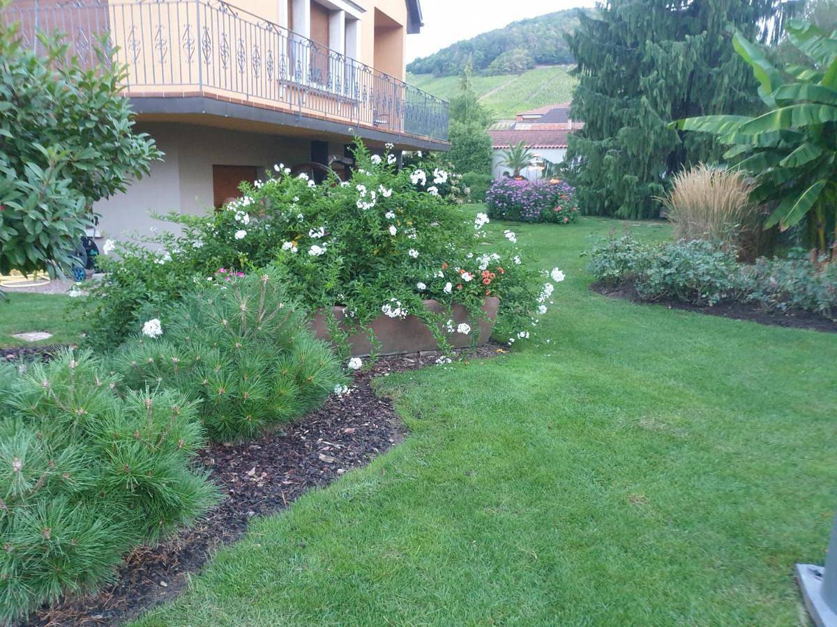 Appartement entier, La rocatelle in Andlau, Région de Sélestat-Erstein