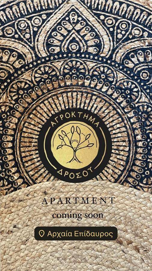 Gîte pour 3 personnes, avec terrasse, animaux acceptés dans Palaia Epidavros - 4