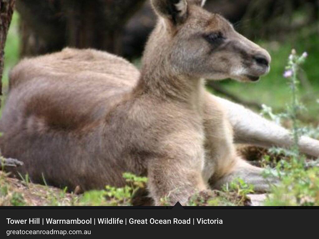 Austral Platz 88 über Merri Fluss in Great Ocean Road
