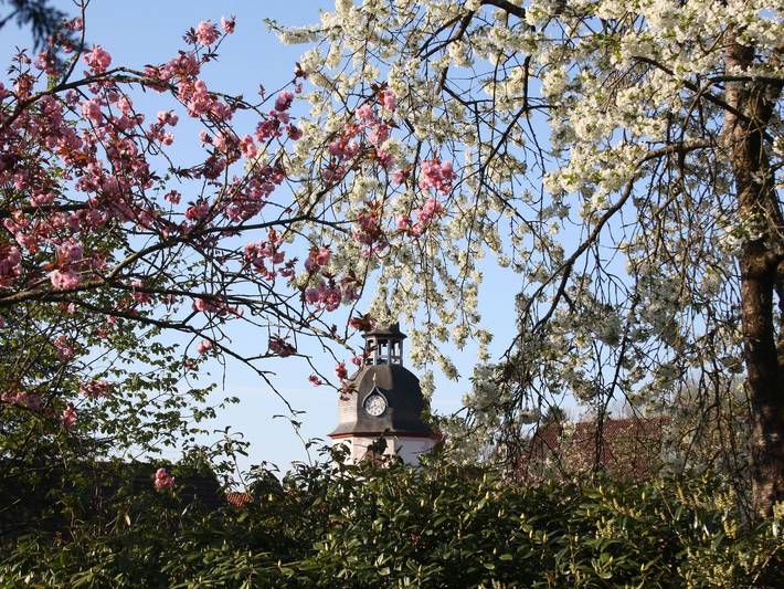 Ferienwohnung für 2 Personen, mit Terrasse und Garten, mit Haustier in Bad Sachsa - 3