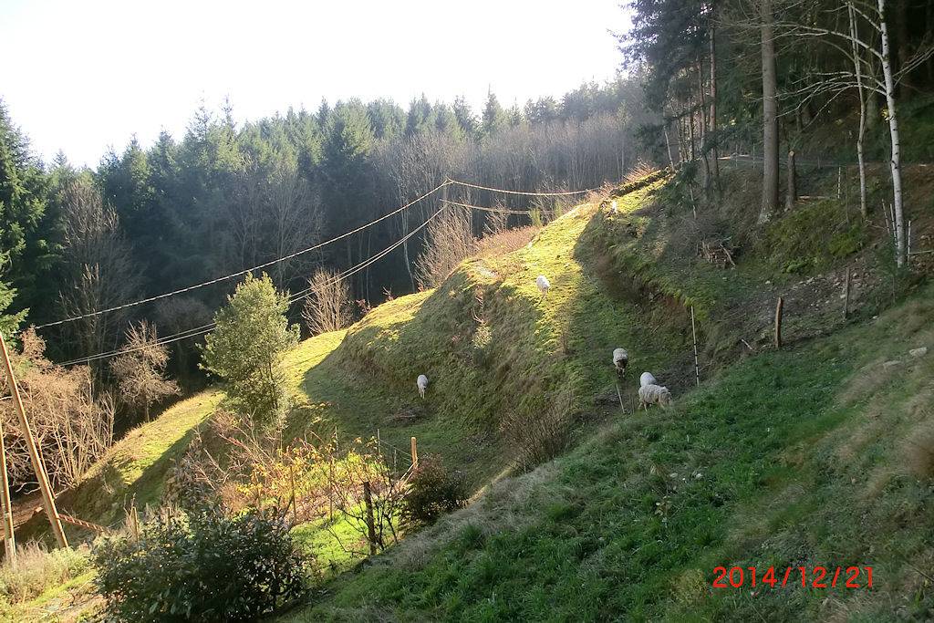 Gite Cassis - Gites de la Sagnette in Saint-Michel-d'Aurance, Parc naturel régional des Monts d'Ardèche