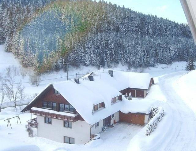 Ganze Ferienwohnung, Ferienwohnung Nr.1 in Furtwangen im schwarzwald (Schwarzwald), Vöhrenbach