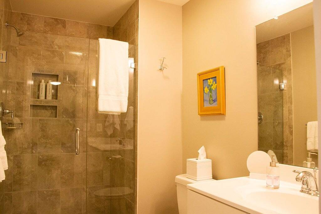 Warner House | Charming Home in Belmont- walk Downtown in Albemarle County