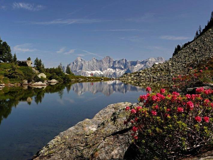 Ferienwohnung für 5 Personen, mit Balkon in Schladming - 4