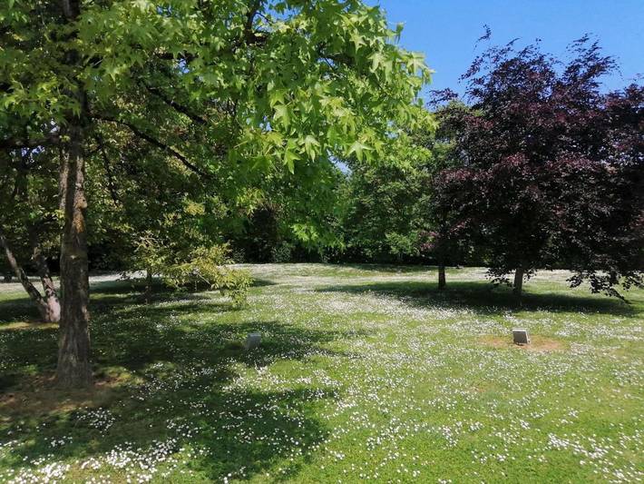 Hôtel pour 3 personnes, avec jardin, animaux acceptés à Chambray-lès-Tours - 3