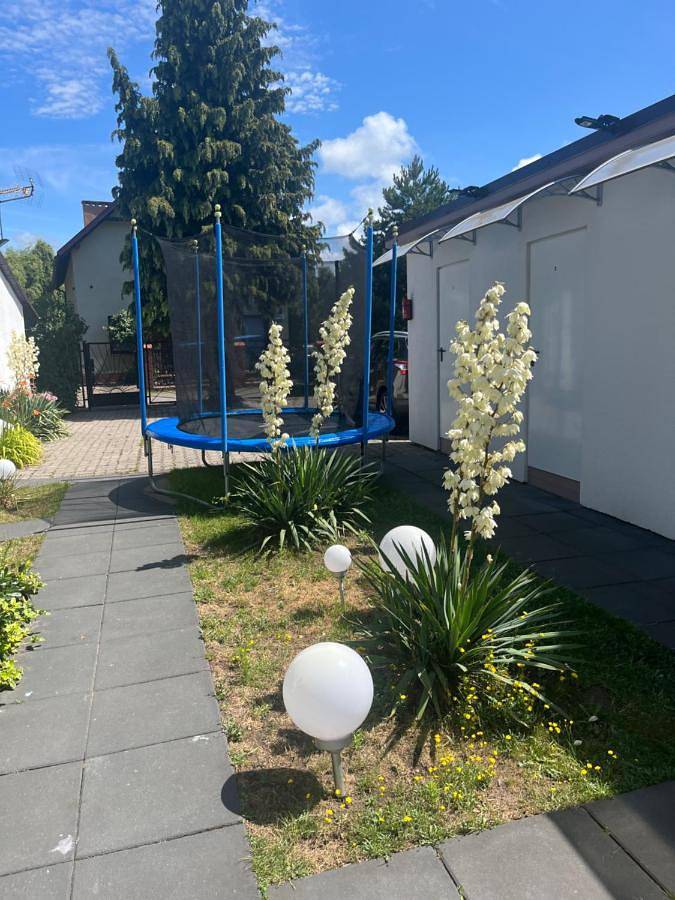 Camping für 2 Personen, mit Terrasse, mit Haustier im Stettiner Haff - 4