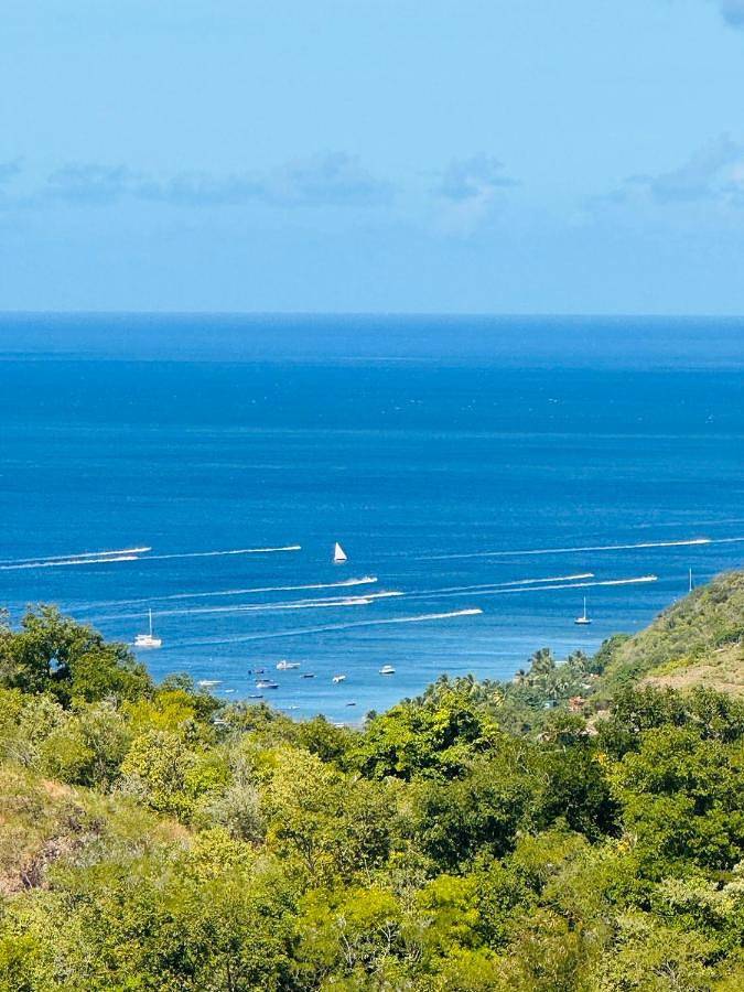 Location de vacances pour 10 personnes, avec vue ainsi que piscine et jardin à Le Carbet - 3