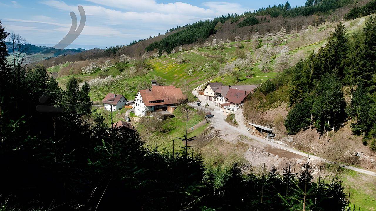 Ganze Ferienwohnung, Ferienwohnung für 2 Personen (45 m²) in Lautenbach in Lautenbach, Mittlerer Schwarzwald