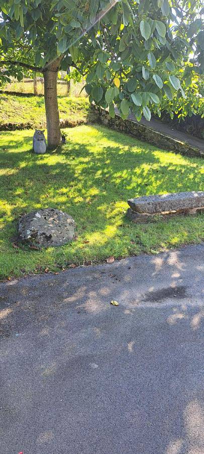 Location de vacances pour 6 personnes, avec jardin et vue dans Mesnil-Roc'h - 2