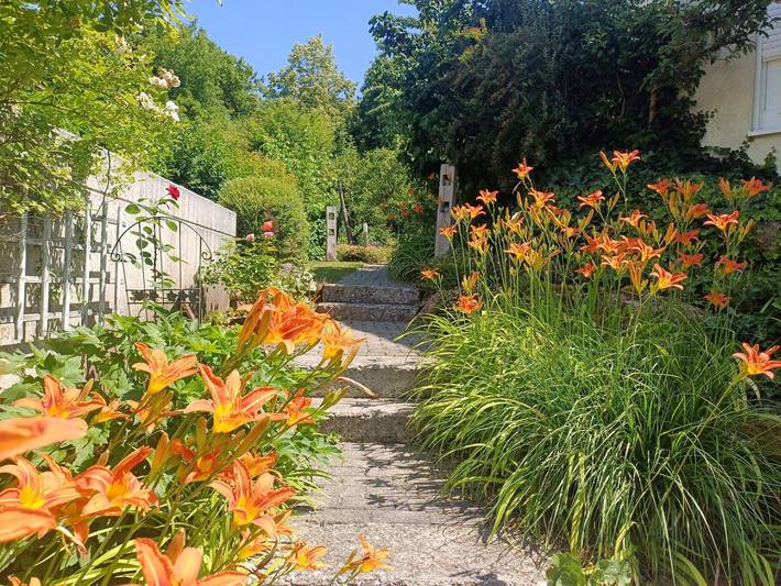 Ferienhaus für 2 Personen, mit Terrasse und Garten sowie Pool in Baden-Württemberg - 2