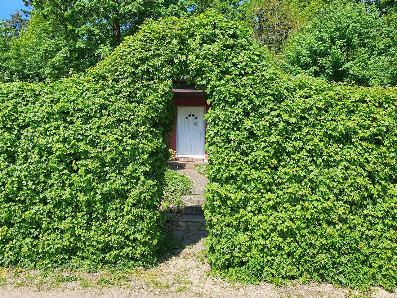 Bungalow 'Smart' mit privater Terrasse und eigenem Garten in Malchow, Fleesensee