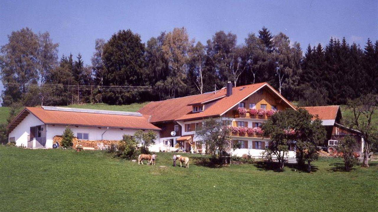 Ganze Ferienwohnung, Ferienwohnung für 4 Personen (43 m²) in Immenstadt in Immenstadt, Bayerisch Schwaben