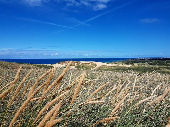 Ferienhaus für 8 Personen, mit Sauna und Terrasse sowie Balkon/Terrasse, mit Haustier in Løkken - 4