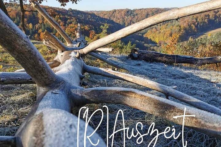 Ferienwohnung für 4 Personen, mit Terrasse - 1