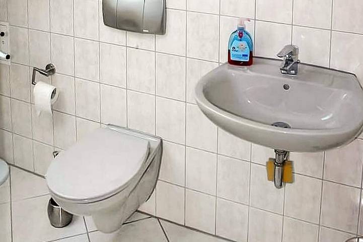 Bauernhof für 5 Personen, mit Terrasse, mit Haustier im Erzgebirge - 4