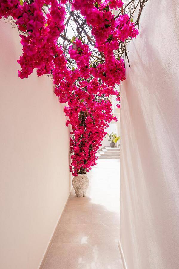 Vakantiewoning voor 4 personen, met balkon in Playa d'en Bossa