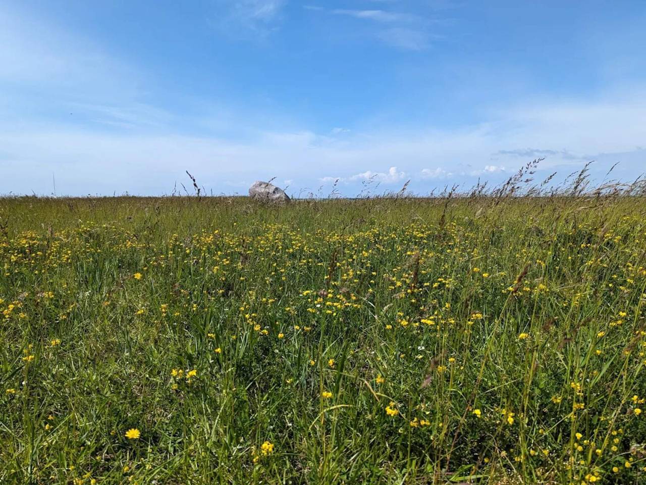 Retro Strand Ruckzug in Gedesby in Gedser, Schwedische Ostsee