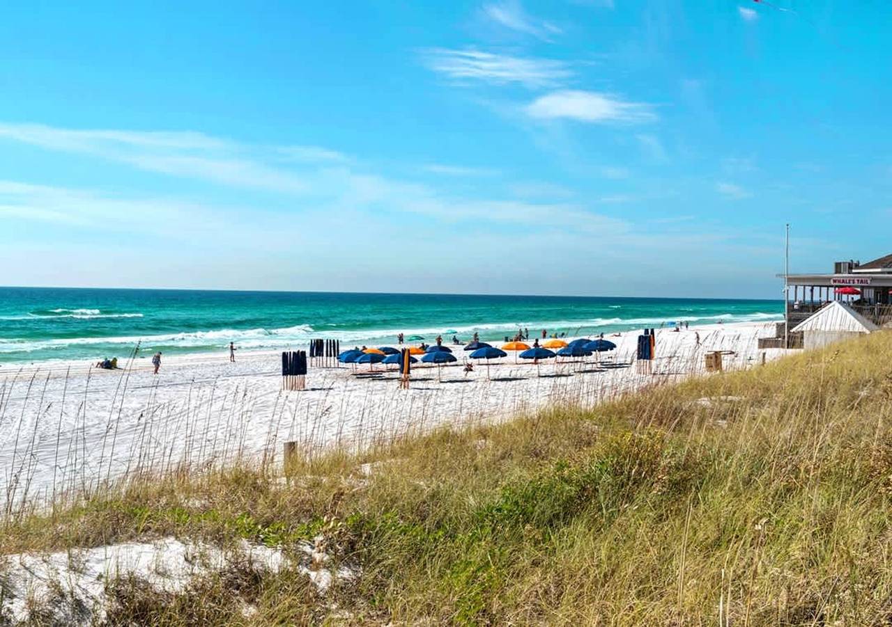 Cabin by the Sea - 3Bdr - Pool   Walk 2 Beach in Miramar Beach, Emerald Coast