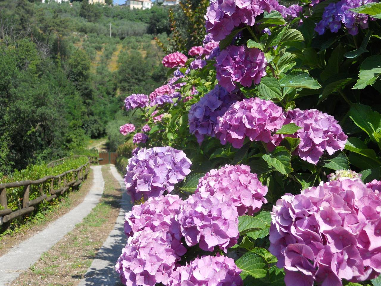 Bauernhaus Biancospino in Lamporecchio, Pistoia Provinz