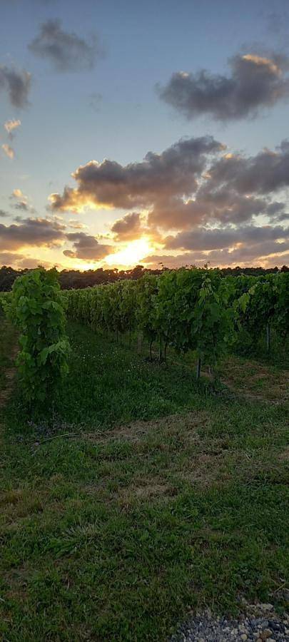 Location de vacances pour 4 personnes, avec jardin et terrasse dans Plage Domino - 4