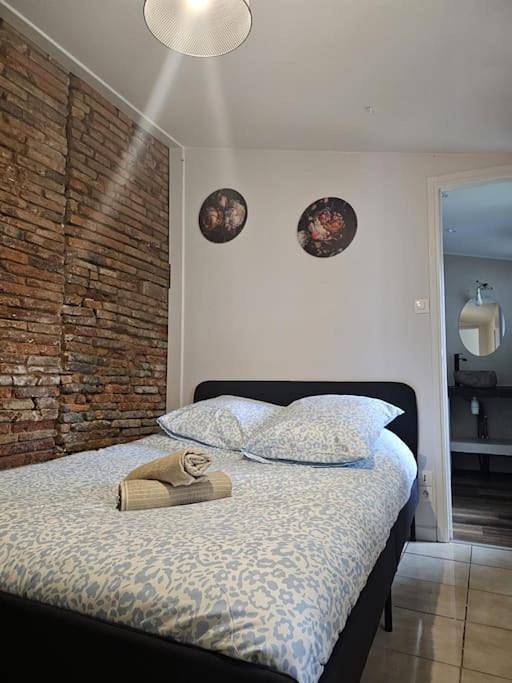 Location de vacances pour 4 personnes, avec jardin, animaux acceptés à Montauban